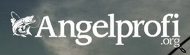 Bild "Linkliste:logo-angelprofi.jpg"